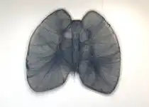 Tittel; Pust.  150 x 172 cm